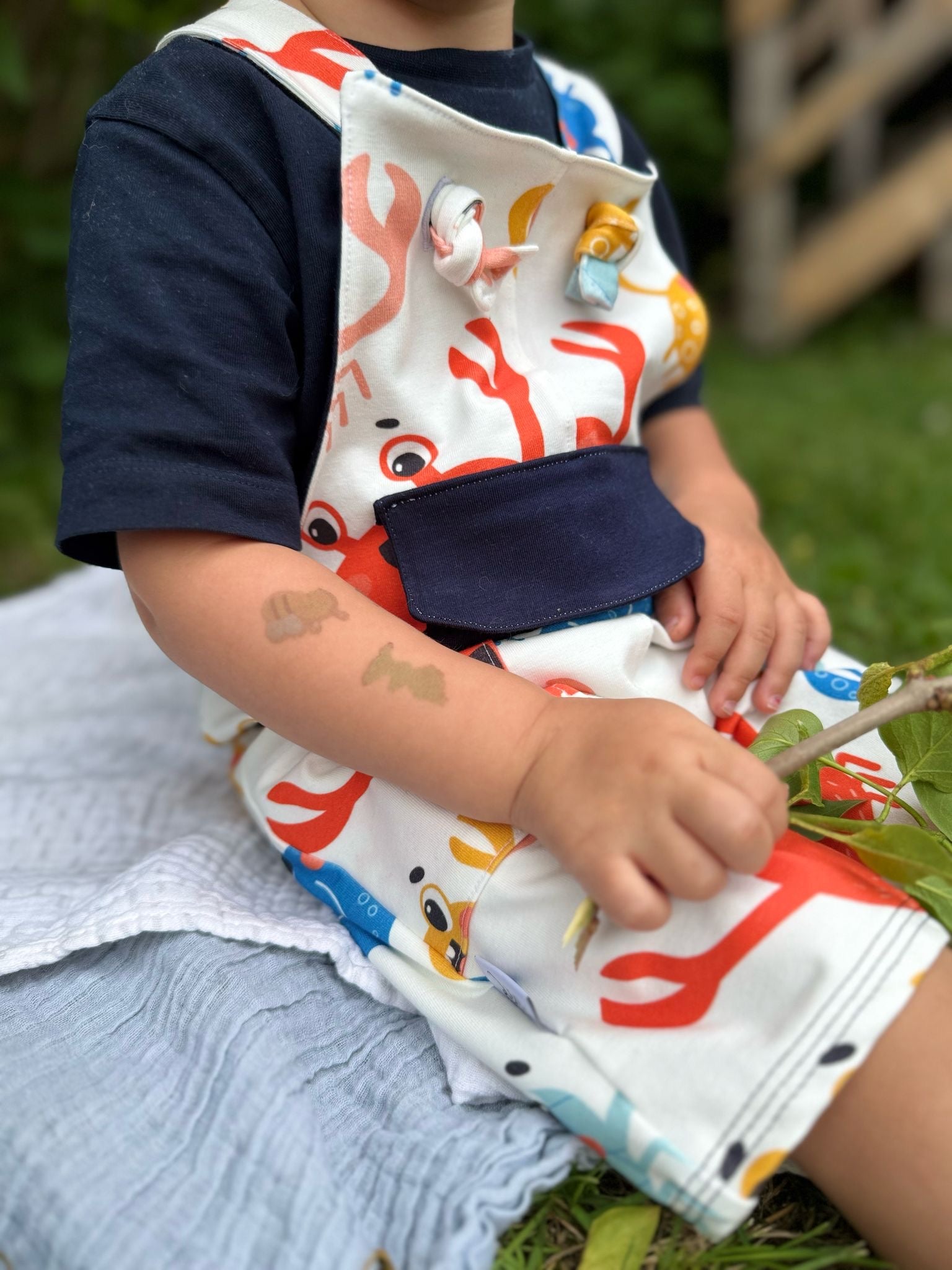 Kleiner Krebs Dauervorbestellung